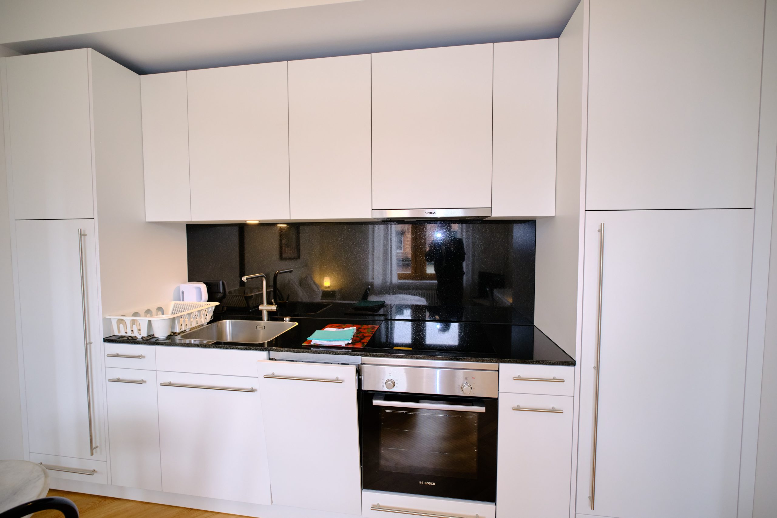 Laegern_304_08 Laegern_304_08