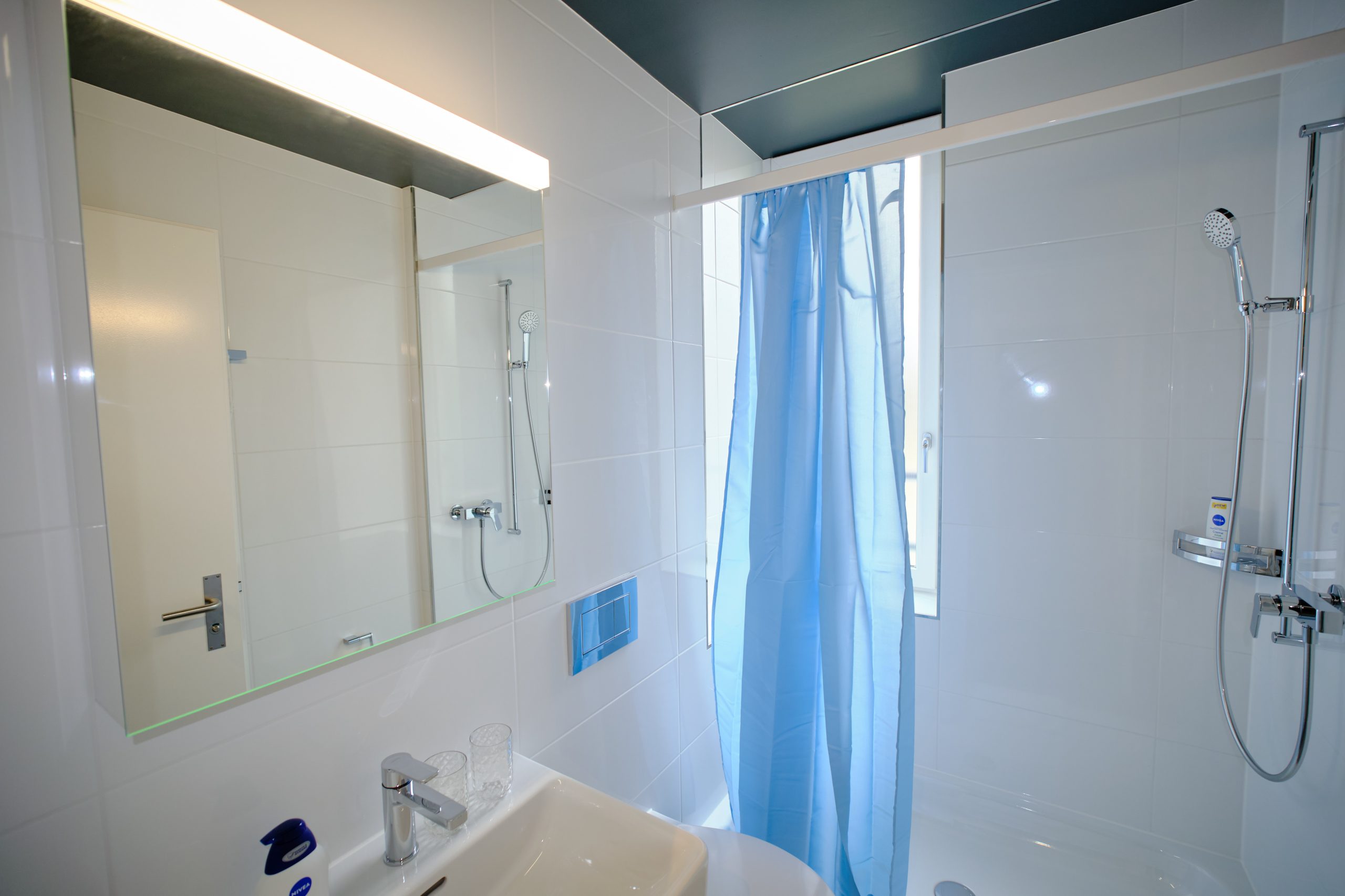 Laegern_304_09 Laegern_304_09