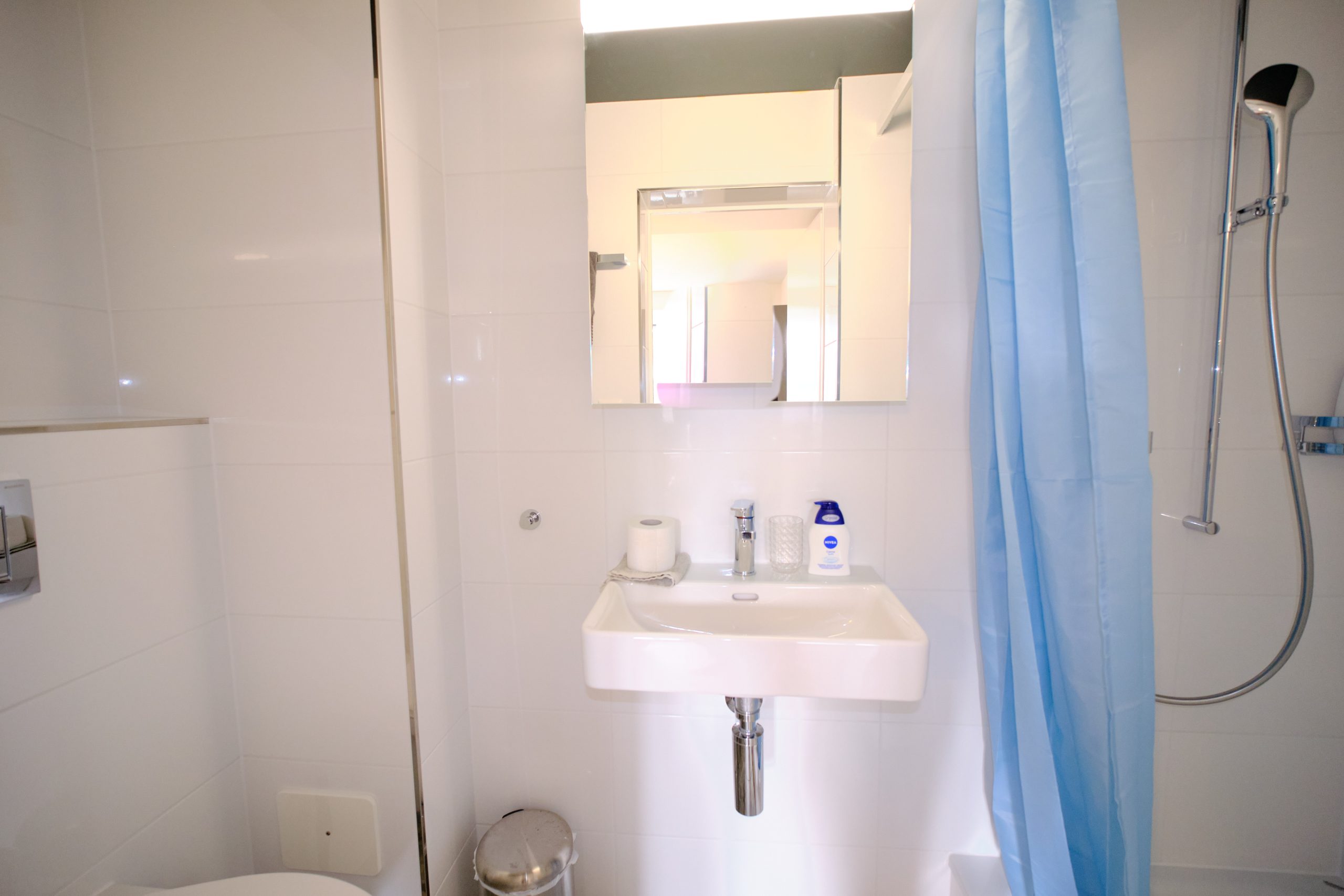 Laegern_402_10 Laegern_402_10